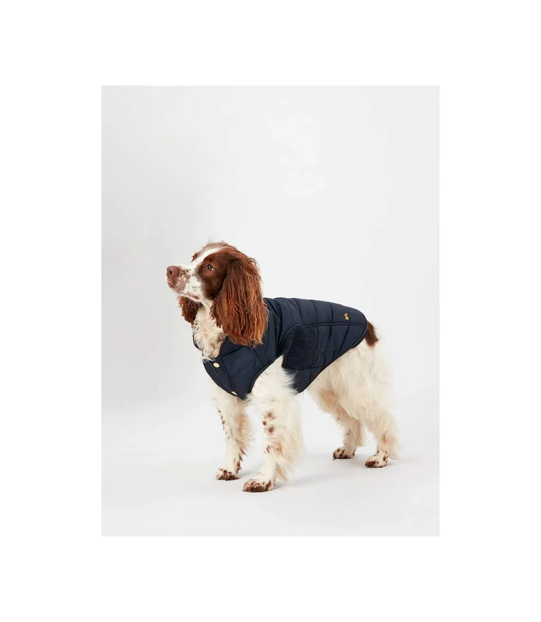 Cherington dog coat l black Joules